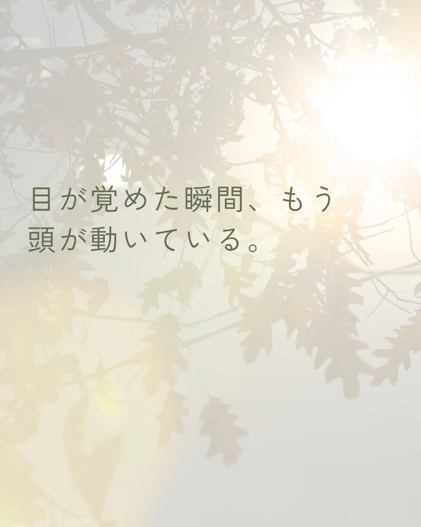 布団の中で今日の予定を確認している。